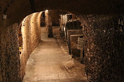 Raum mit Weinfässern